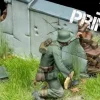 3D Models