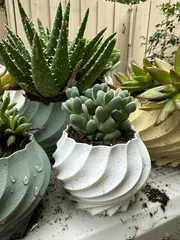 Twisted Plant Pot Collection (5 varieties)